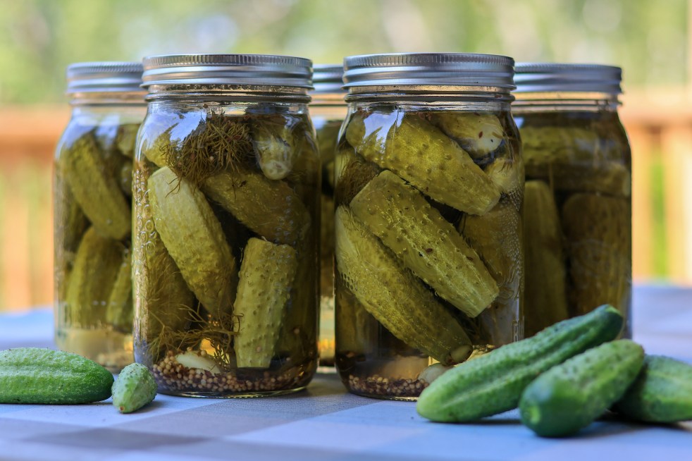 Homemade Dill Pickles